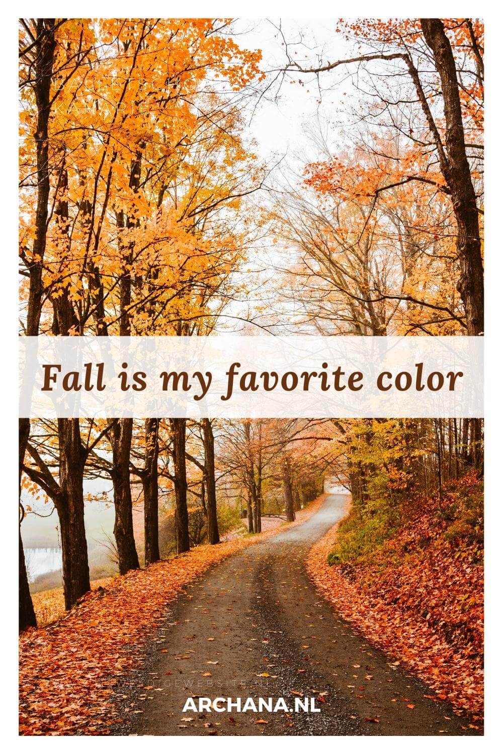 "Fall is my favorite color" - Fall Quotes - Discover more Seasons Quotes on ARCHANA.NL